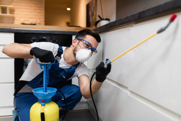Jackson, CA Pest Control Company