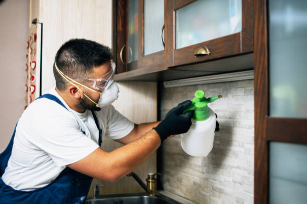 Best Pest Prevention Services  in Jackson, CA