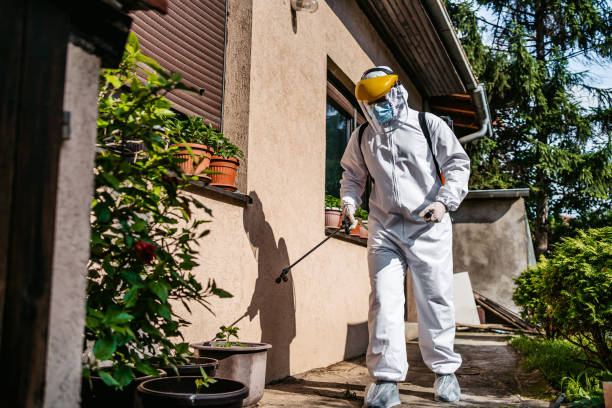 Best Emergency Pest Control  in Jackson, CA