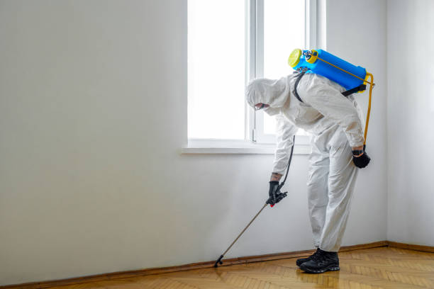 Best Emergency Pest Control  in Jackson, CA