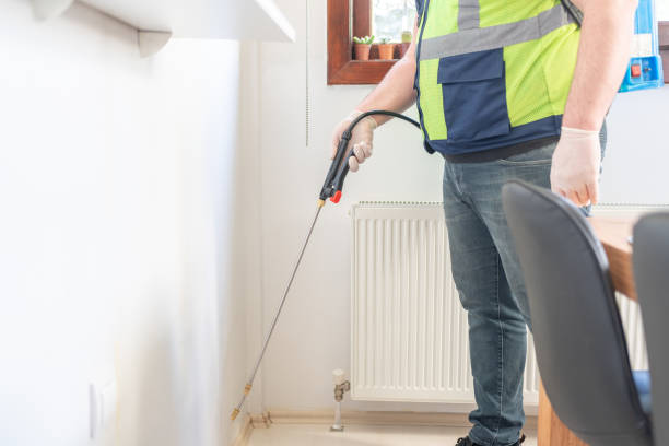Best Termite Control Services  in Jackson, CA