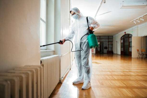 Best Residential Pest Control  in Jackson, CA