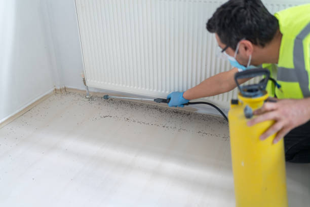 Best Affordable Pest Control Services  in Jackson, CA