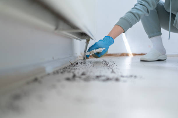 Best Pest Prevention Services  in Jackson, CA