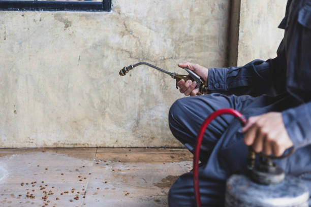 Best Exterminator Services  in Jackson, CA