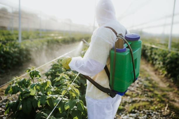 Best Pest Removal Services  in Jackson, CA